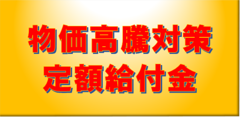 定額給付金