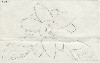 以下：校章応募作品 