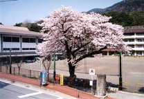 湯本小学校