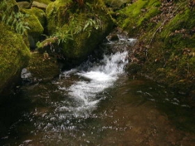 写真：二ノ戸沢水源