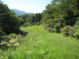 源頼朝（みなもとのよりとも）も通った湯坂道（ゆさかみち）