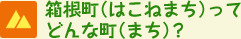 箱根町ってどんな町？